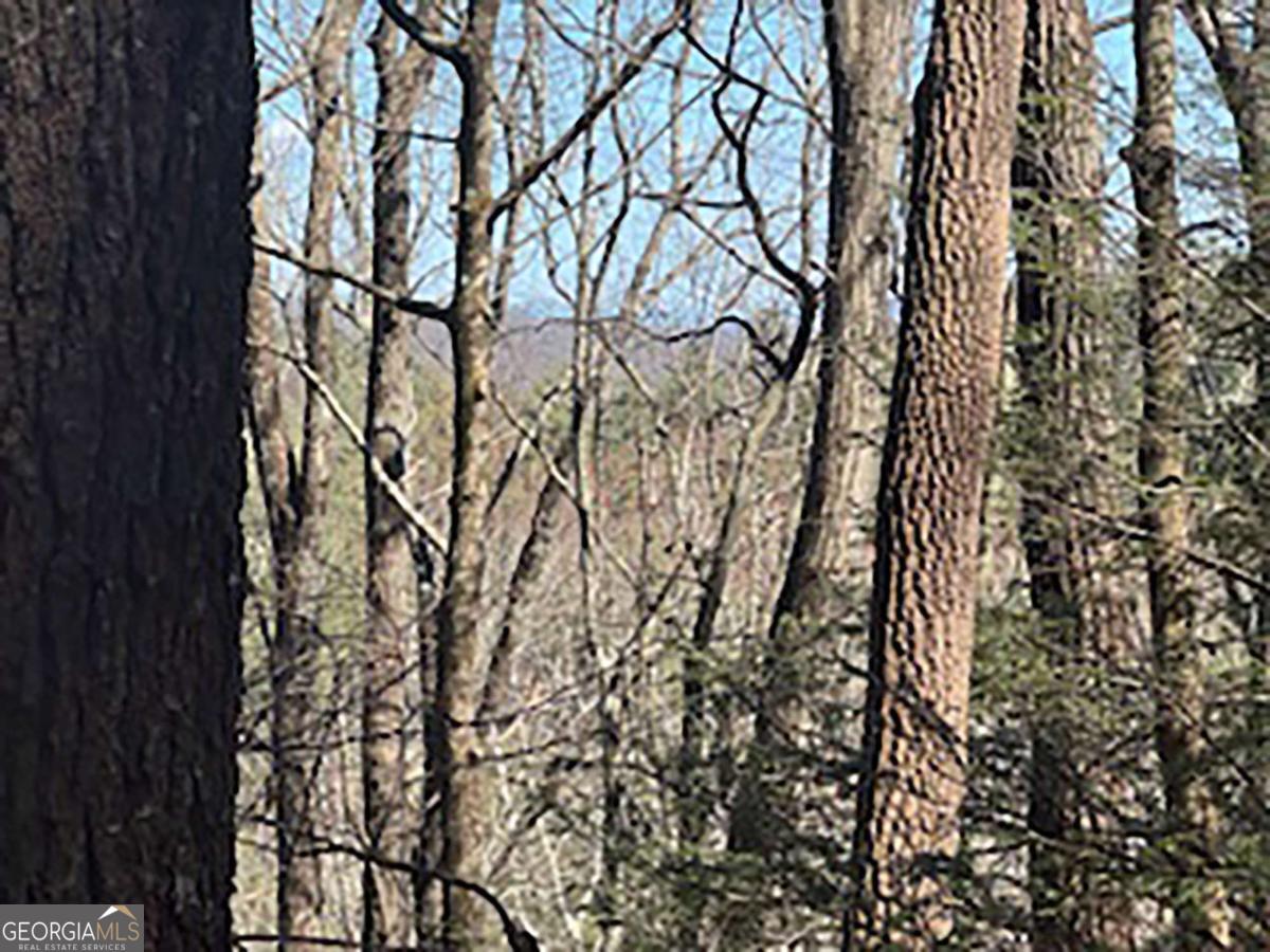 Lot 14 Butler Creek Road Cherry Log, GA 30522 - Photo 2 of 8