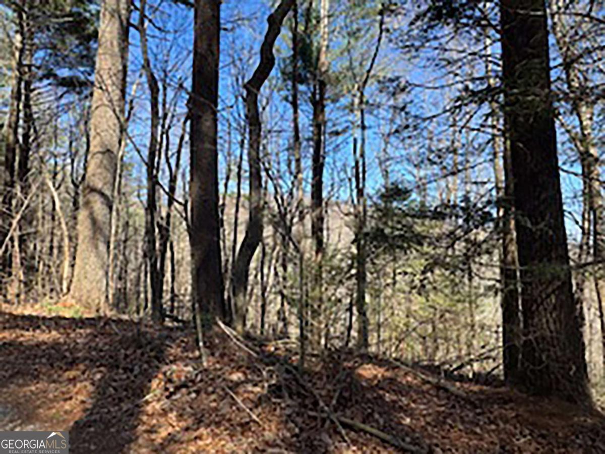 Lot 14 Butler Creek Road Cherry Log, GA 30522 - Photo 4 of 8