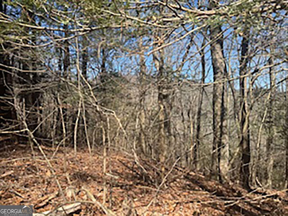 Lot 14 Butler Creek Road Cherry Log, GA 30522 - Photo 6 of 8