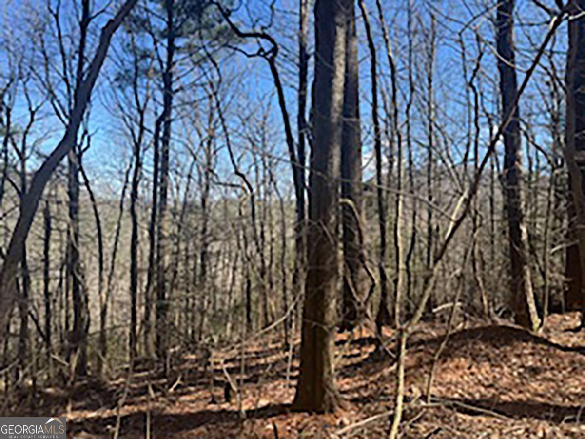 Lot 14 Butler Creek Road Cherry Log, GA 30522 - Photo 7 of 8