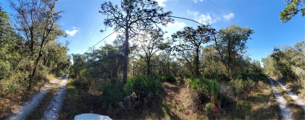 8738 Lindy Lane New Port Richey, FL 34655 - Photo 3 of 9 a view of a house with a tree