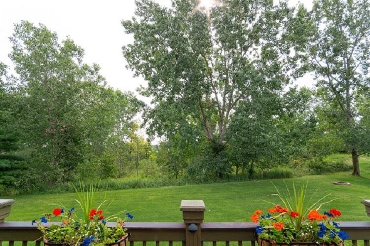 3847 Elk Drive Rochester, MI 48306 - Photo 83 of 85