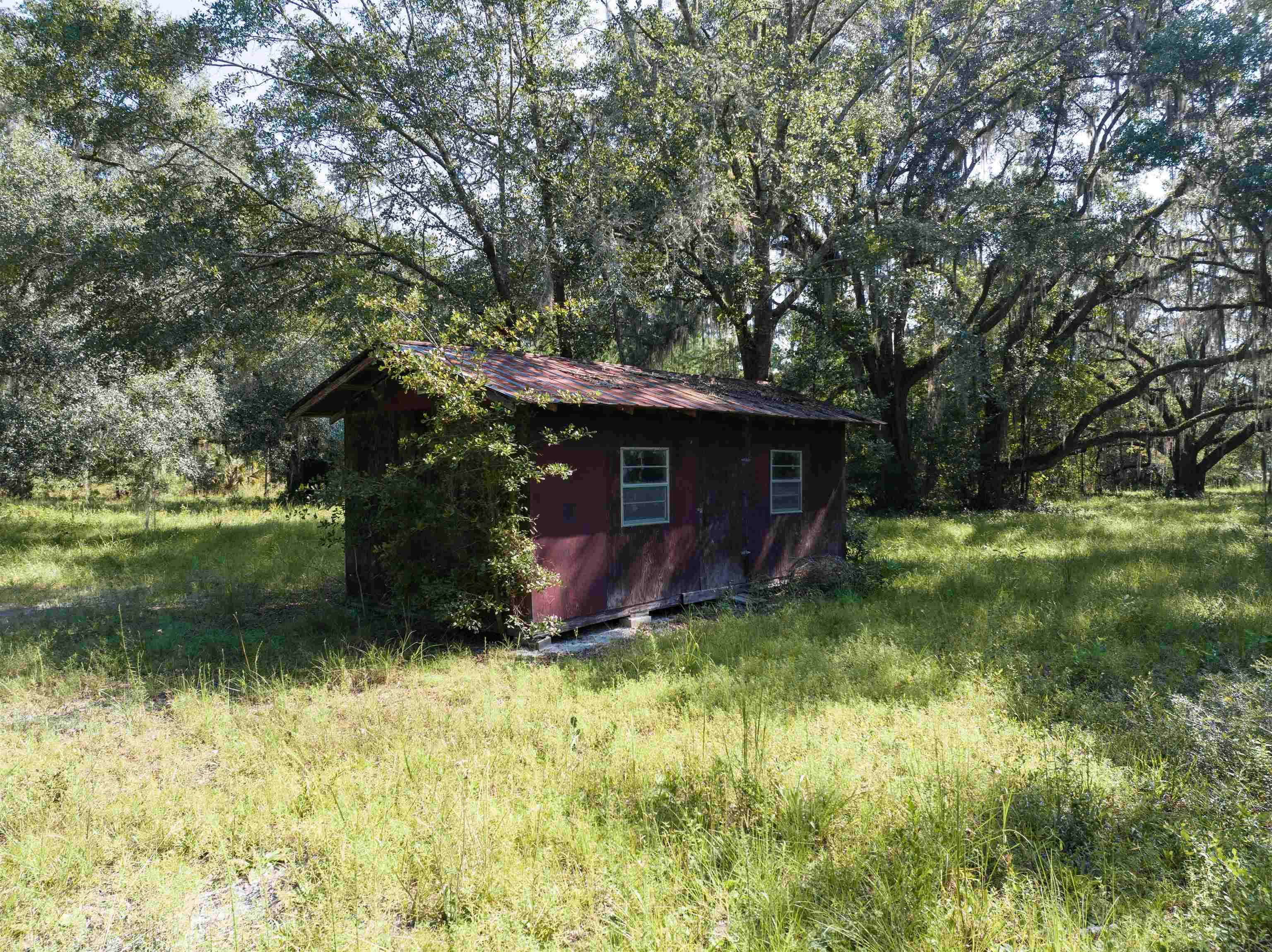 1700-20 Acres) Osteen Road Perry, FL 32347 - Photo 21 of 33