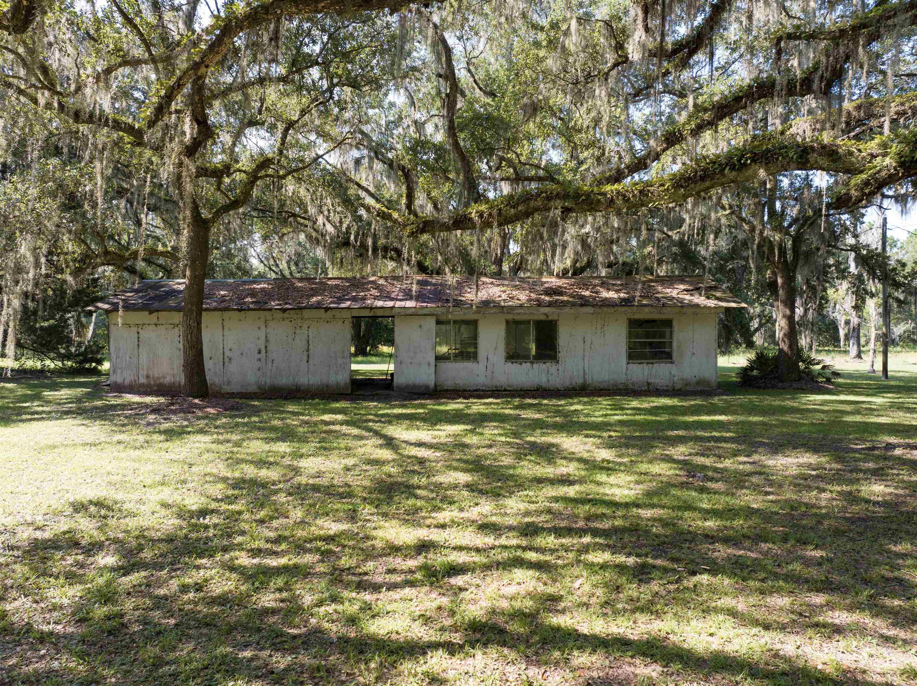1700-20 Acres) Osteen Road Perry, FL 32347 - Photo 23 of 33