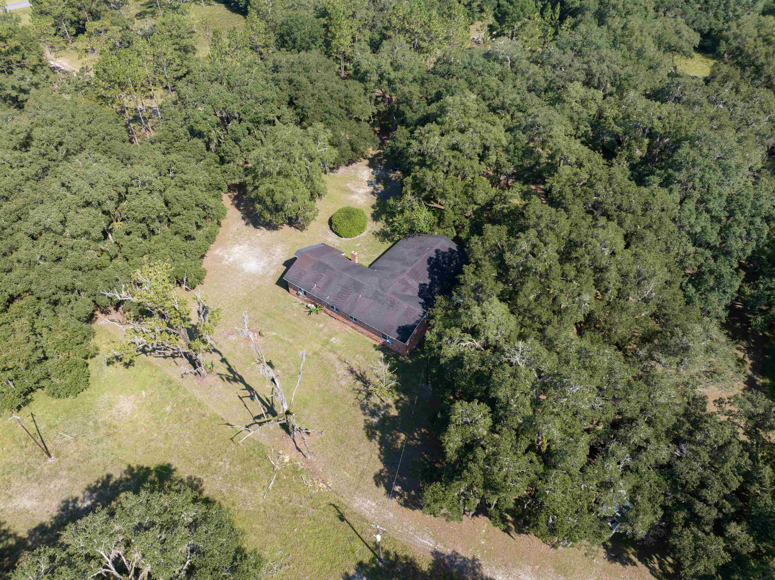 1700-20 Acres) Osteen Road Perry, FL 32347 - Photo 33 of 33