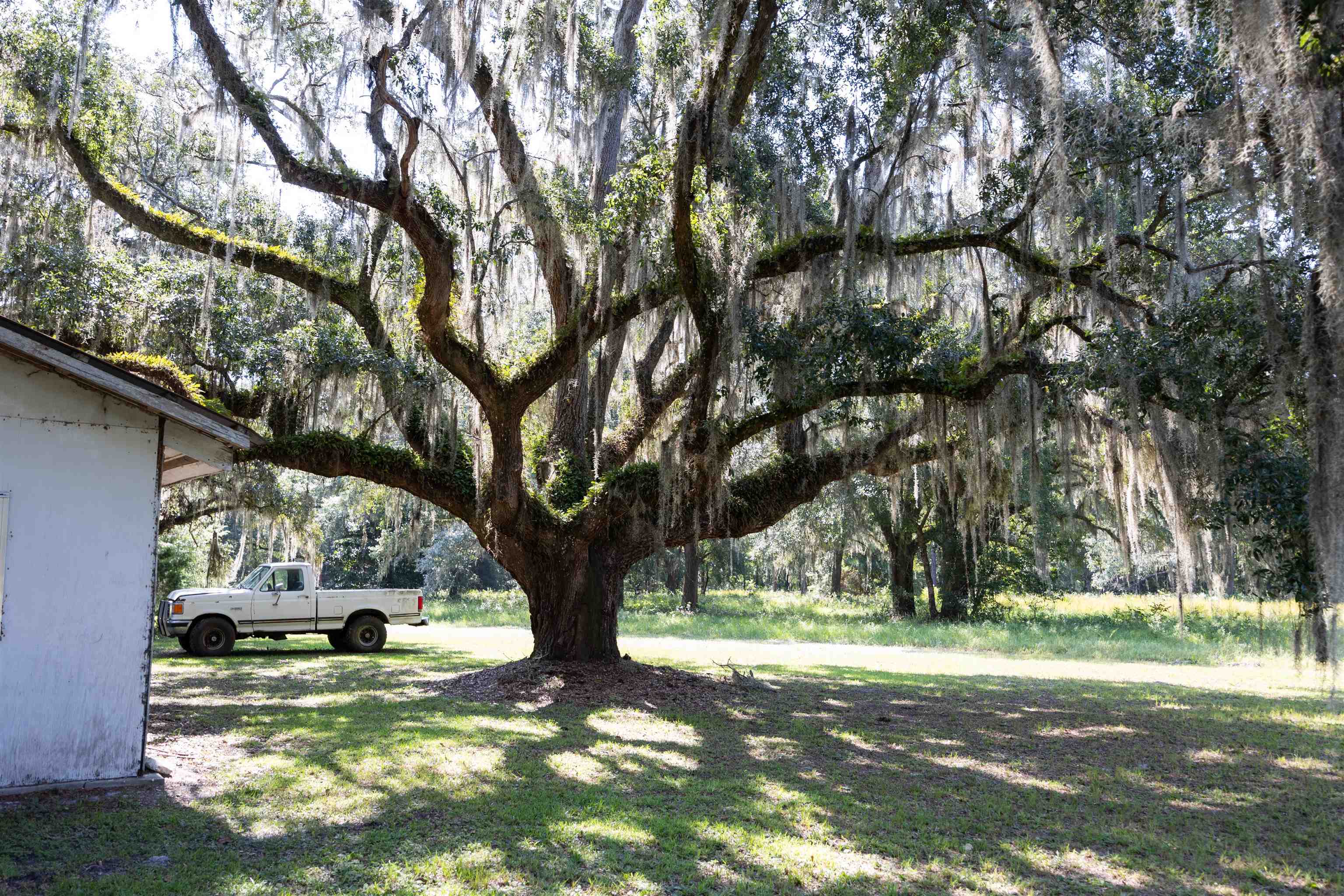 1700-20 Acres) Osteen Road Perry, FL 32347 - Photo 4 of 33