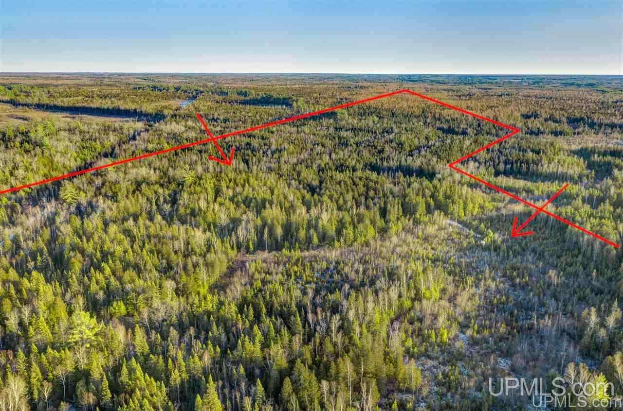 4091 Hiawatha Station Road Manistique, MI 49854 - Photo 4 of 24