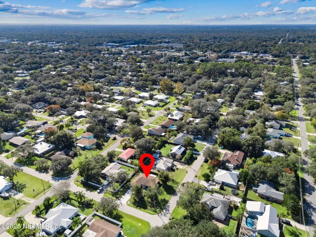a view of a yard with plants and trees