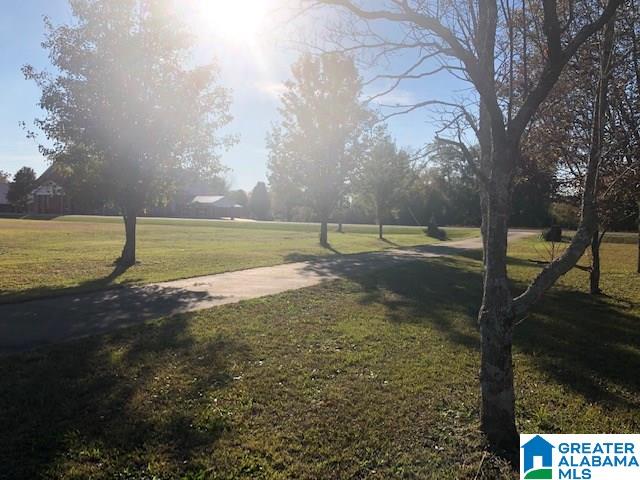 452 Curry Station Road Munford, AL 36268 - Photo 33 of 33