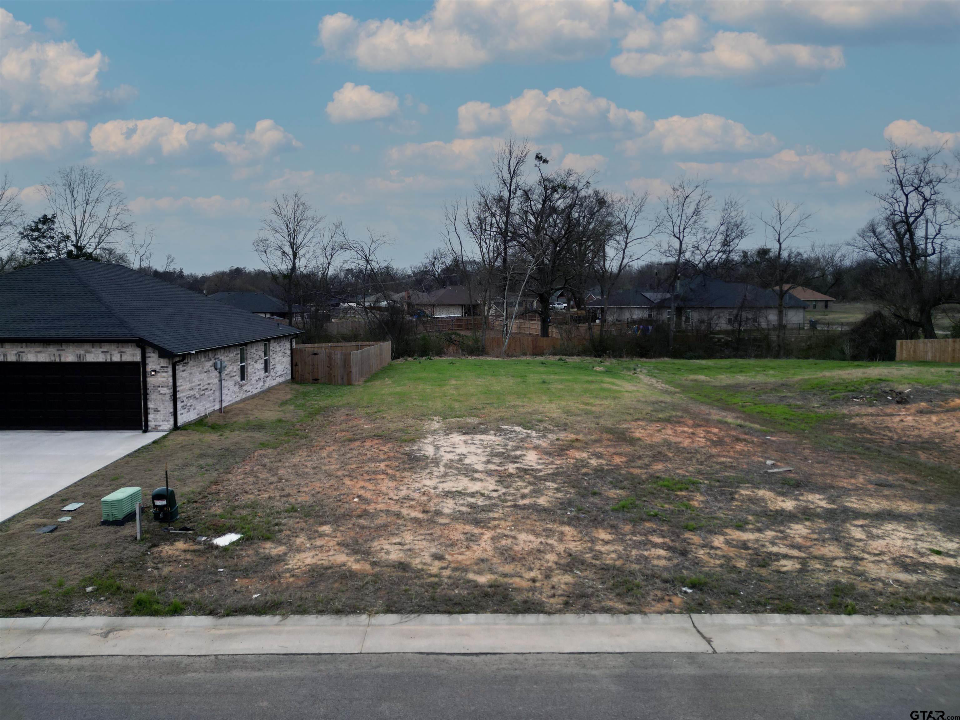 a view of a backyard