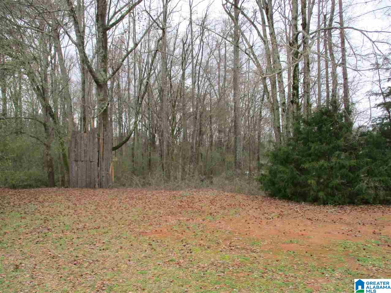 0 Jenifer Road, Unit 1 Munford, AL 36268 - Photo 1 of 1