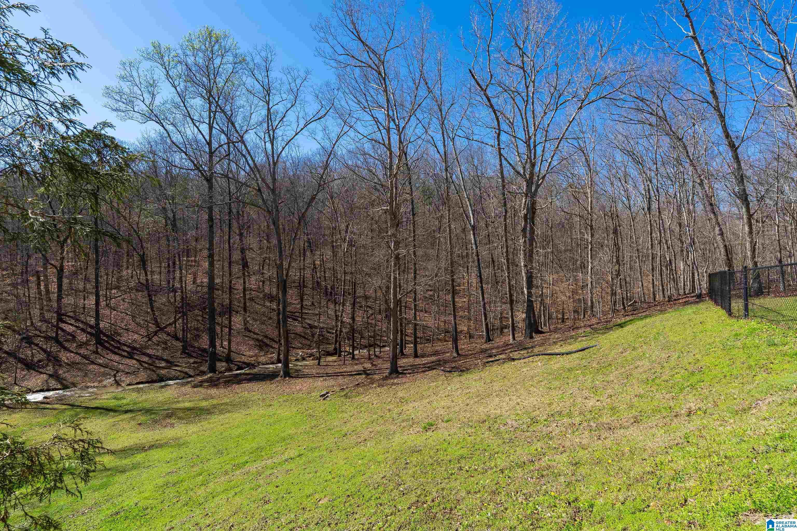 8560 Pine Mountain Road Pinson, AL 35126 - Photo 38 of 59