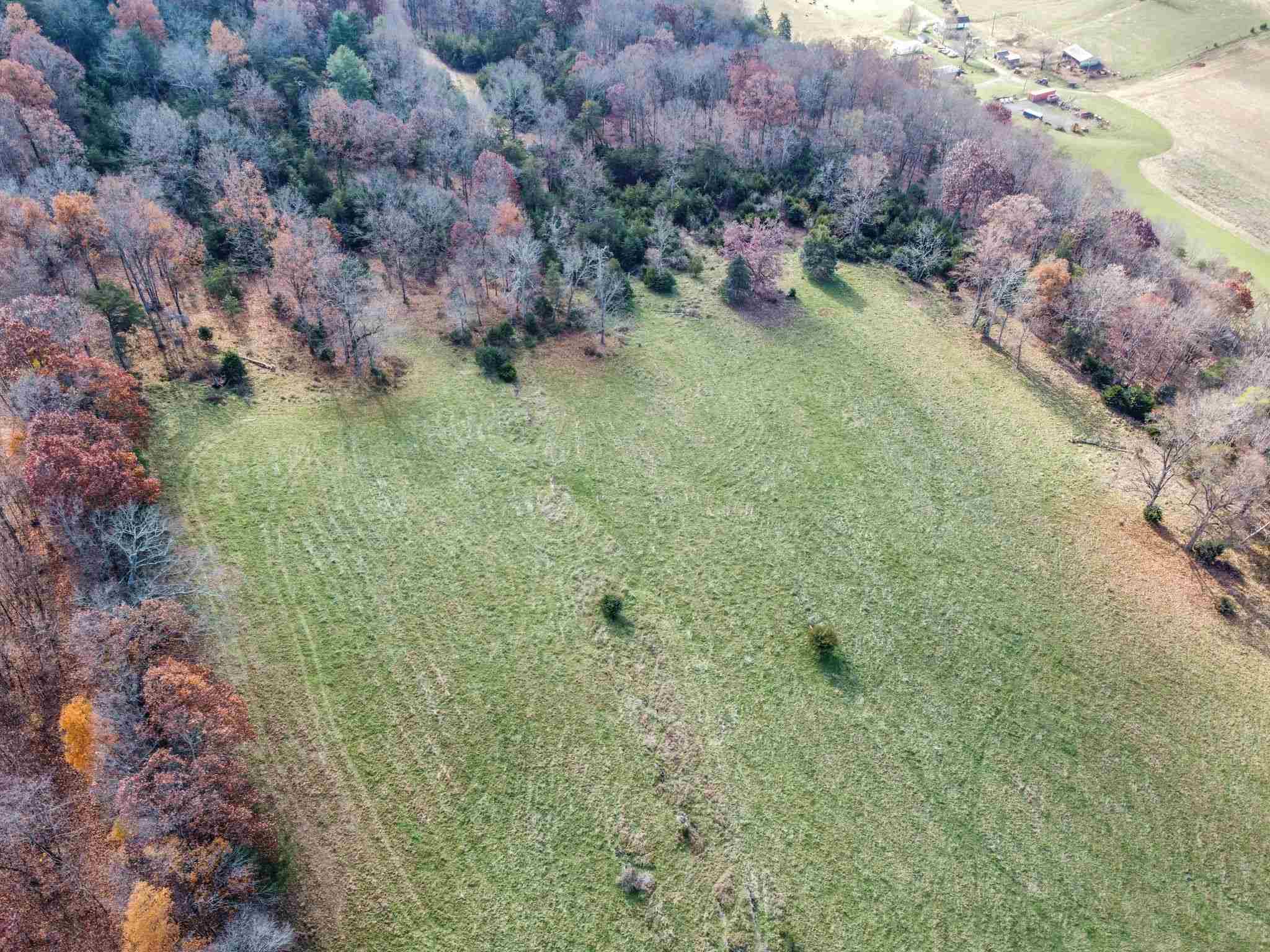 Lot 1 Gibbs Run Lane Raphine, VA 24472 - Photo 2 of 7 a backyard of a house
