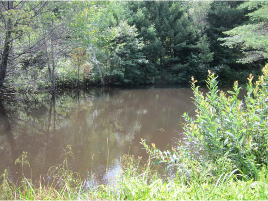 58 Old Concord Road Sullivan, NH 03445 - Photo 14 of 20