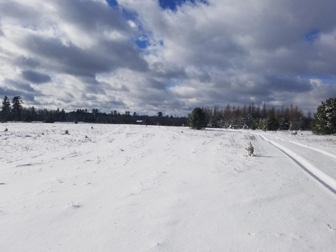 On Adams Road, Unit 53 ACRES Eagle River, WI 54521 - Photo 2 of 5 Gallery Image 2