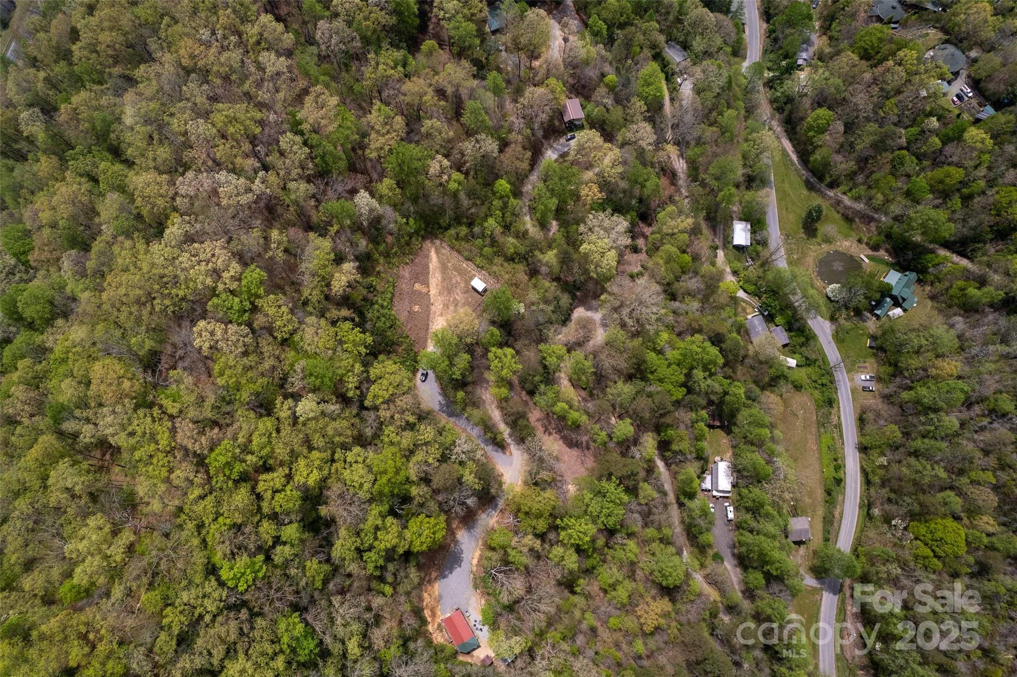 Lot 3 Bradley Branch Road Whittier, NC 28789 - Photo 2 of 9 a view of a tree in a forest