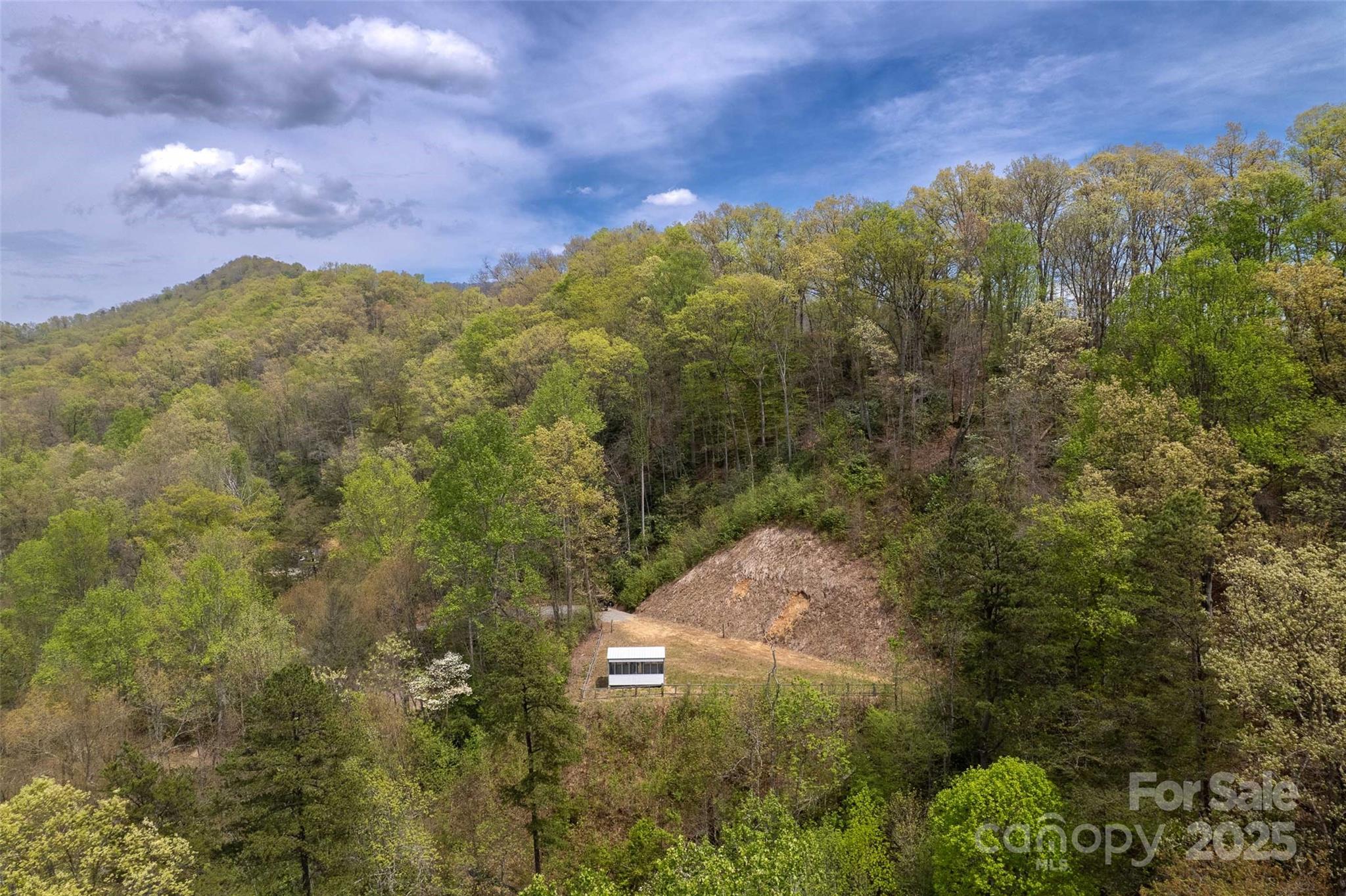 Lot 3 Bradley Branch Road Whittier, NC 28789 - Photo 6 of 9 a view of a yard
