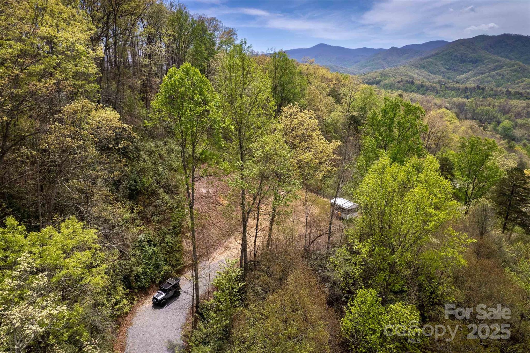 Lot 3 Bradley Branch Road Whittier, NC 28789 - Photo 7 of 9 a view of mountain view with lots of trees