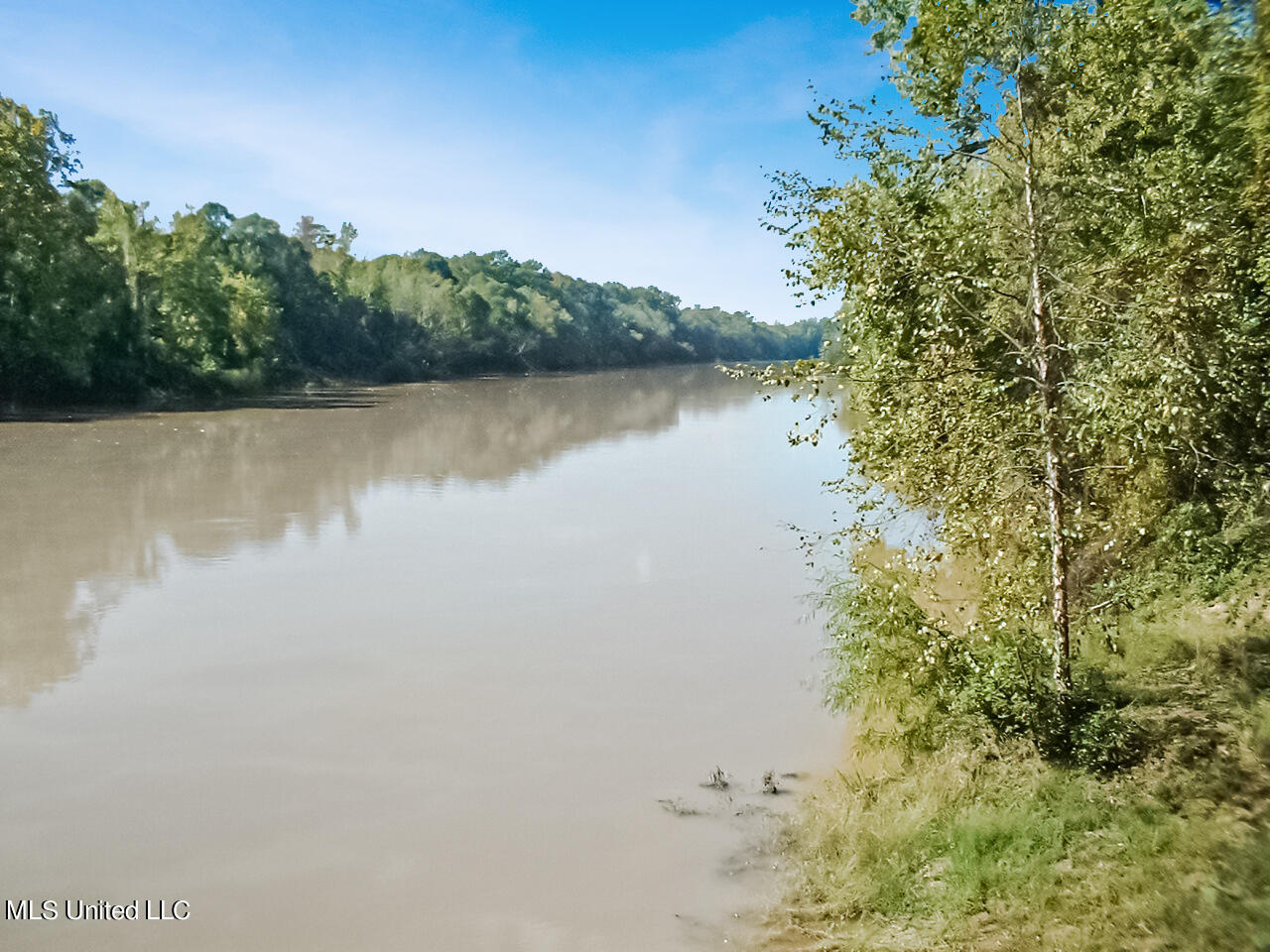 205 David Sherman Road Newhebron, MS 39140 - Photo 12 of 47 Sherman Rd - 18