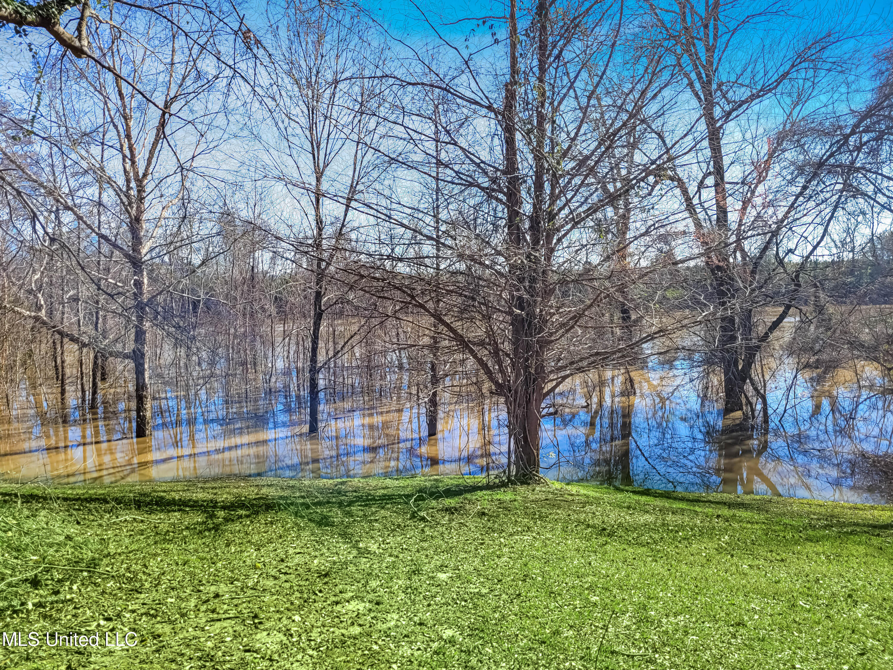 205 David Sherman Road Newhebron, MS 39140 - Photo 15 of 47 Sherman Rd - 37