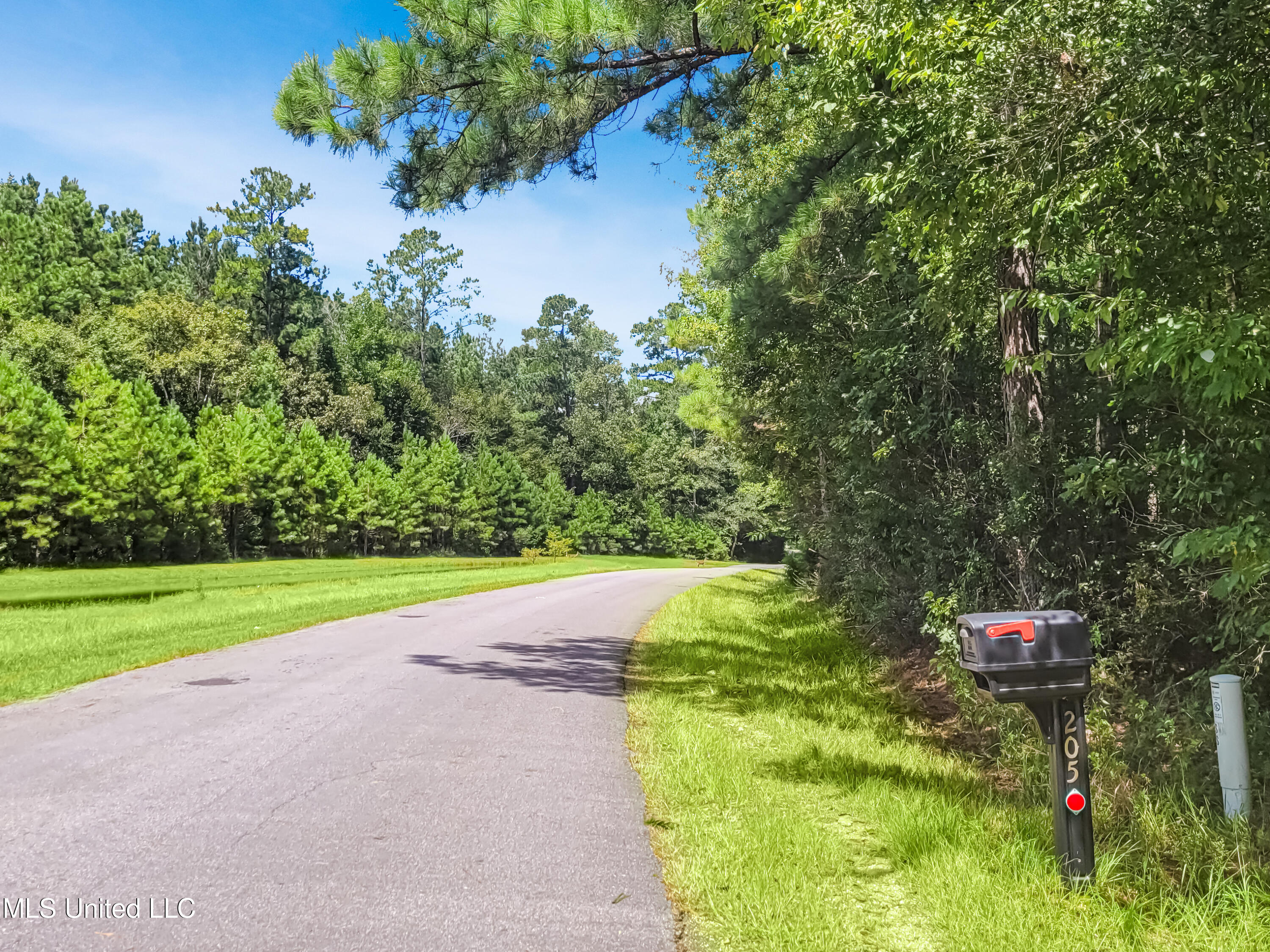 205 David Sherman Road Newhebron, MS 39140 - Photo 39 of 47 Sherman Rd - 31
