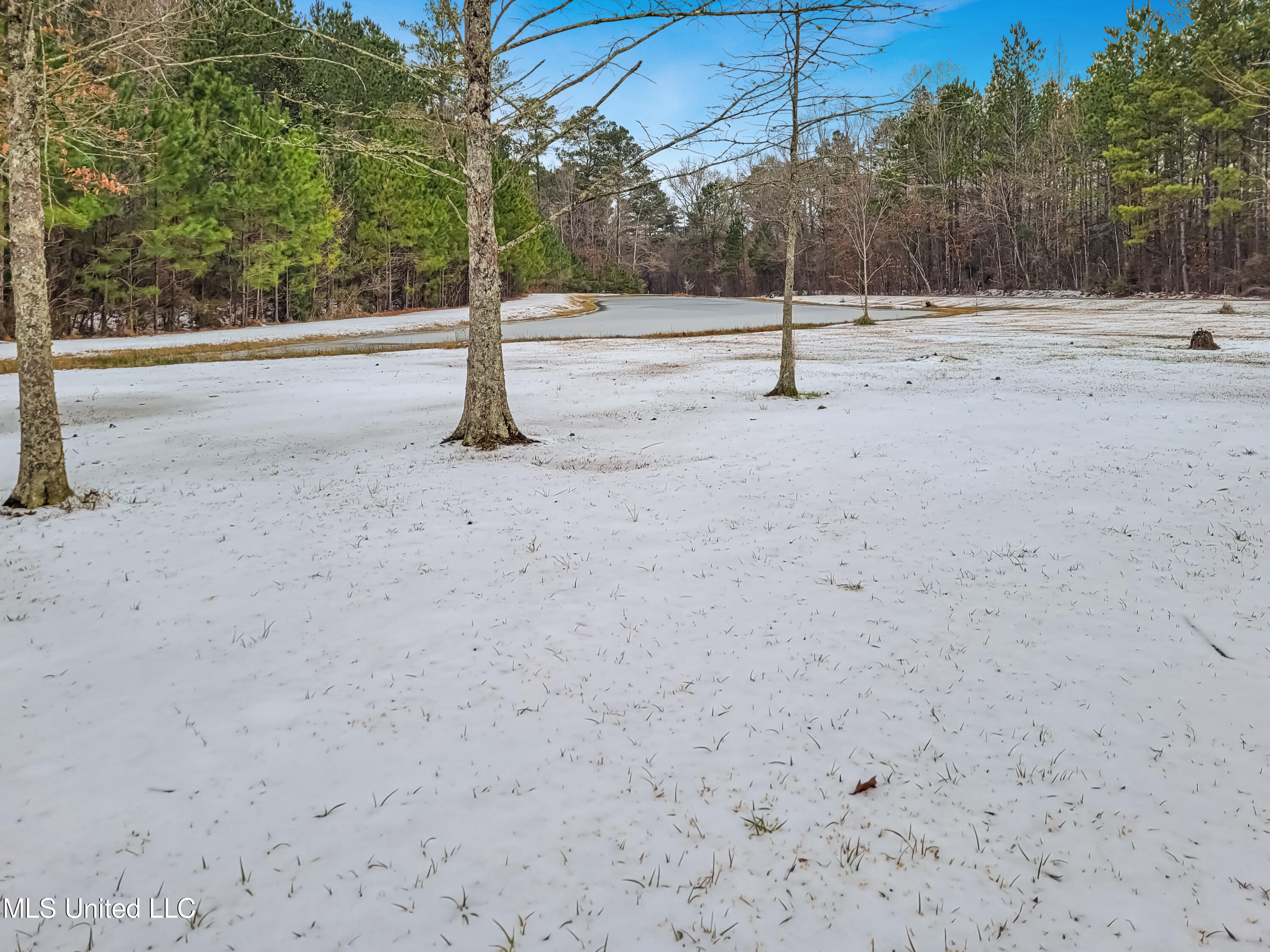 205 David Sherman Road Newhebron, MS 39140 - Photo 41 of 47 Sherman Rd - 28