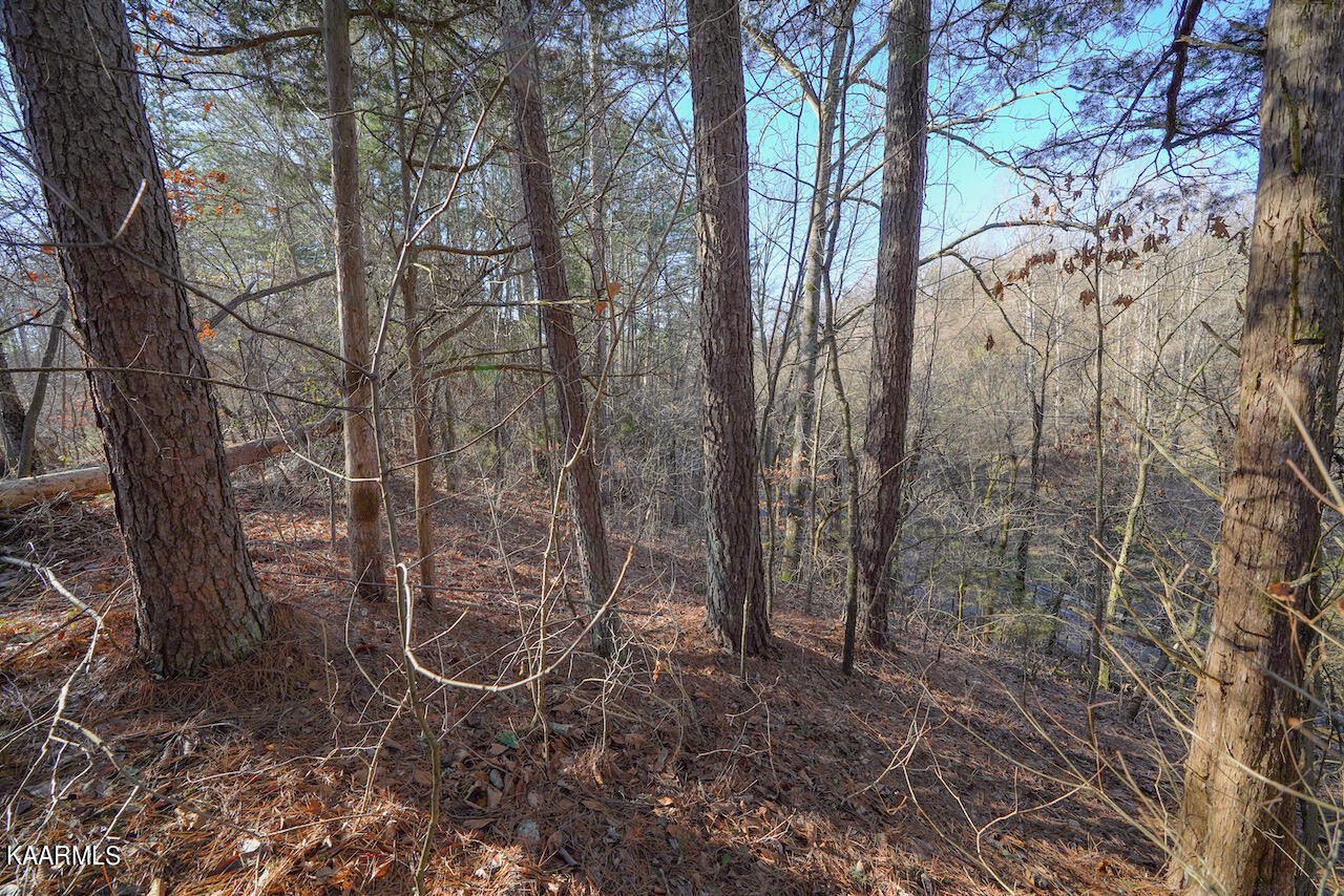 151 South New Era Road Sevierville, TN 37862 - Photo 4 of 10 Gallery Image 4