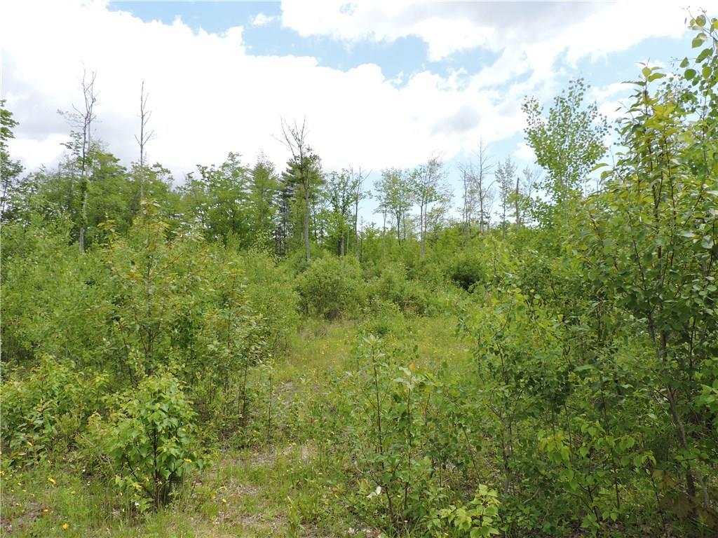 309 Town Farm Road Bucksport, ME 04416 - Photo 4 of 8 Photo