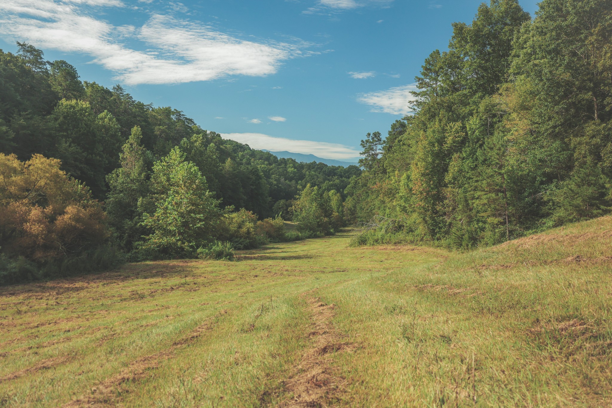 1634 Dixon Branch Road Sevierville, TN 37876 - Photo 10 of 86 Gallery Image 10