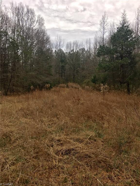 0 Hancock Road, Unit HANCOCK Star, NC 27356 - Photo 14 of 18
