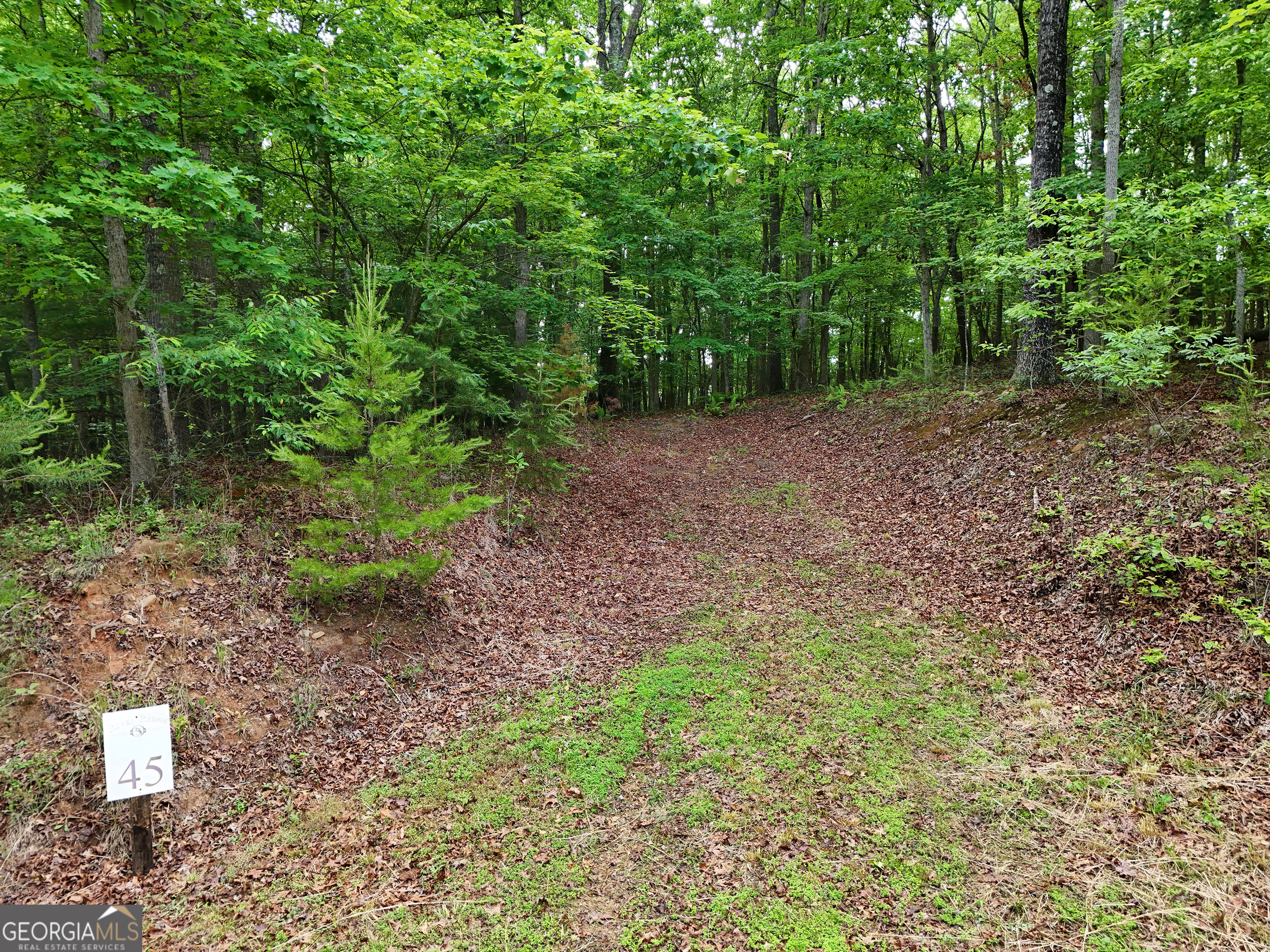 Lot 45 Cascading Brook Lane Blue Ridge, GA 30513 - Photo 1 of 1 a big yard with lots of green space and deers
