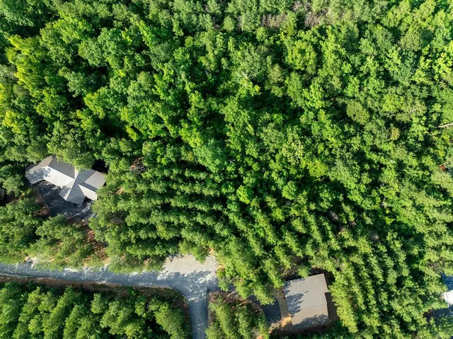 a view of a green field with lots of bushes