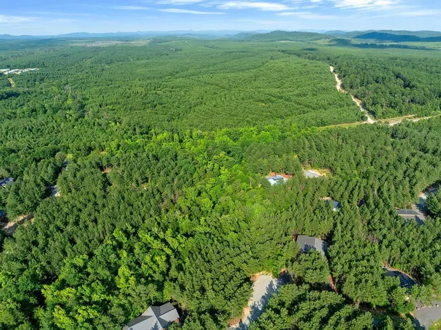 a view of a lush green outdoor space with a lake view