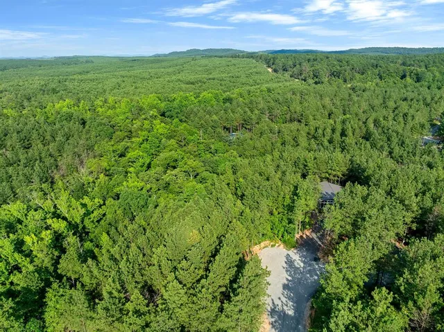 a green field with lots of trees