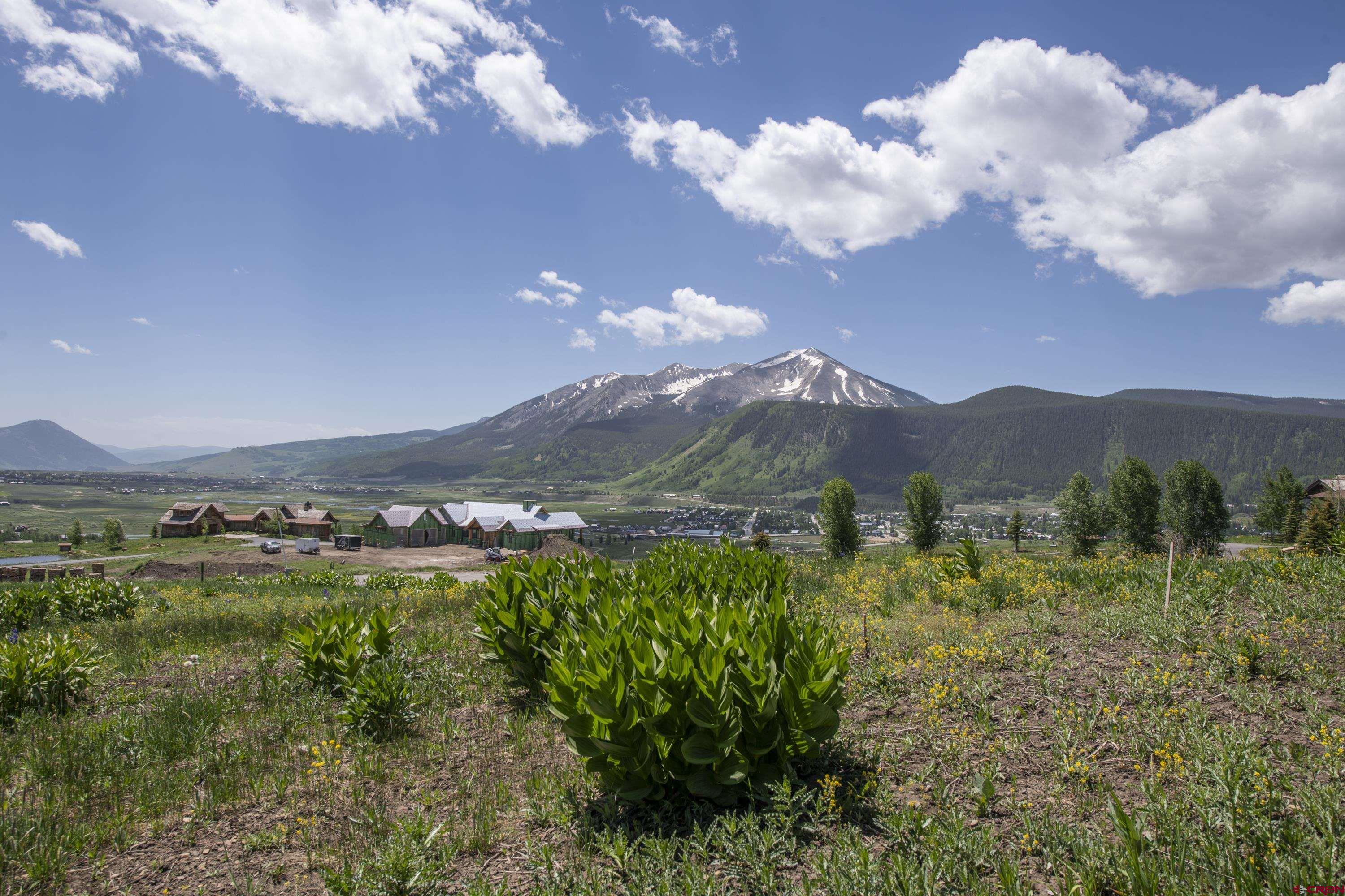 a view of a city with lush green forest