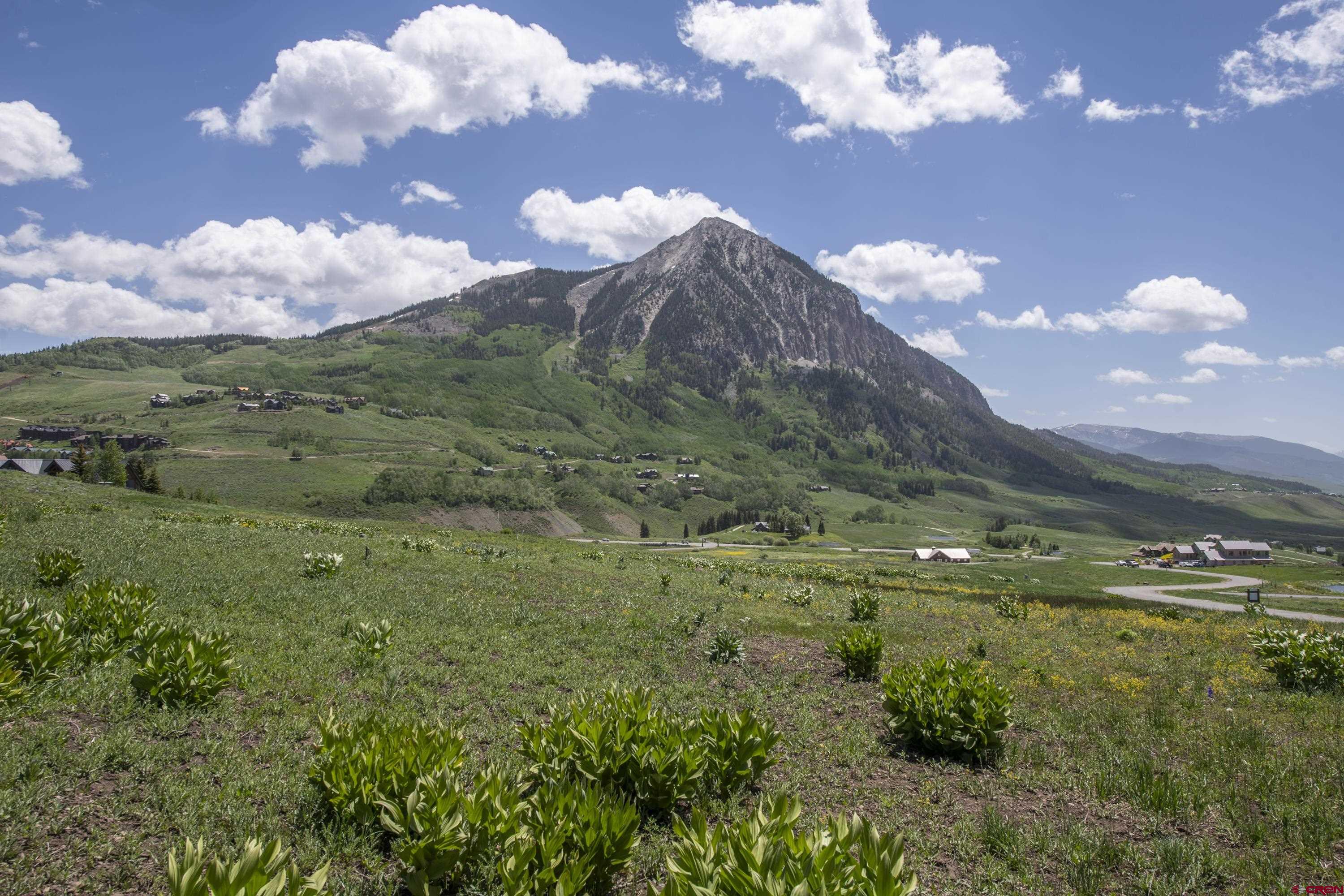 565 Saddle Ridge Ranch Road Crested Butte, CO 81224 - Photo 11 of 35 a view of a building in the middle of a field