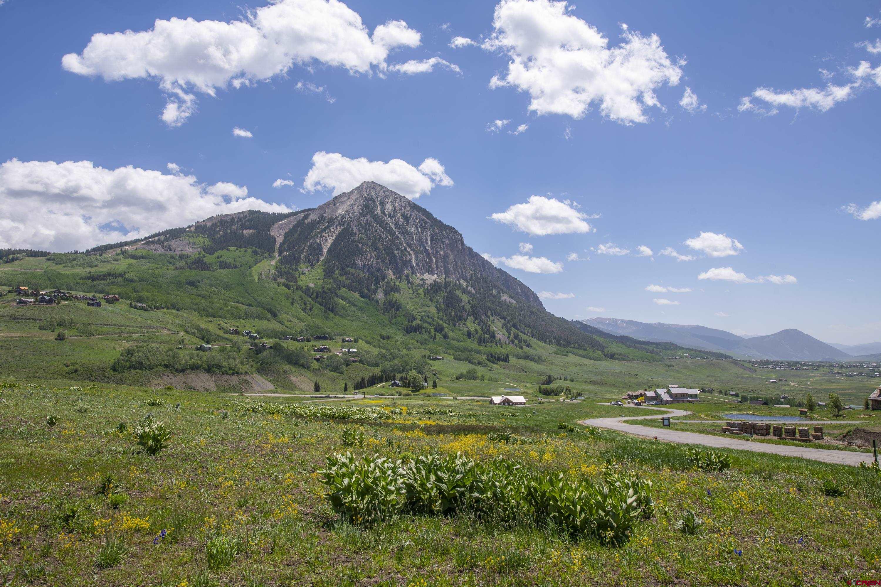 565 Saddle Ridge Ranch Road Crested Butte, CO 81224 - Photo 12 of 35 a view of a city with lots of green space
