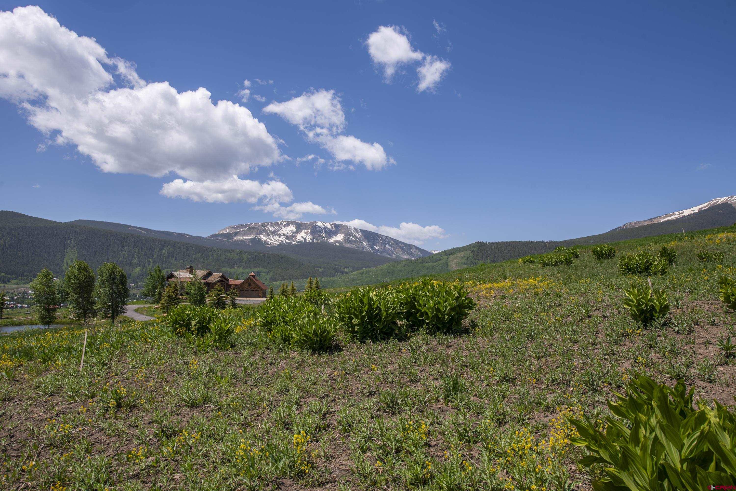 565 Saddle Ridge Ranch Road Crested Butte, CO 81224 - Photo 14 of 35 a view of a lake in middle of forest