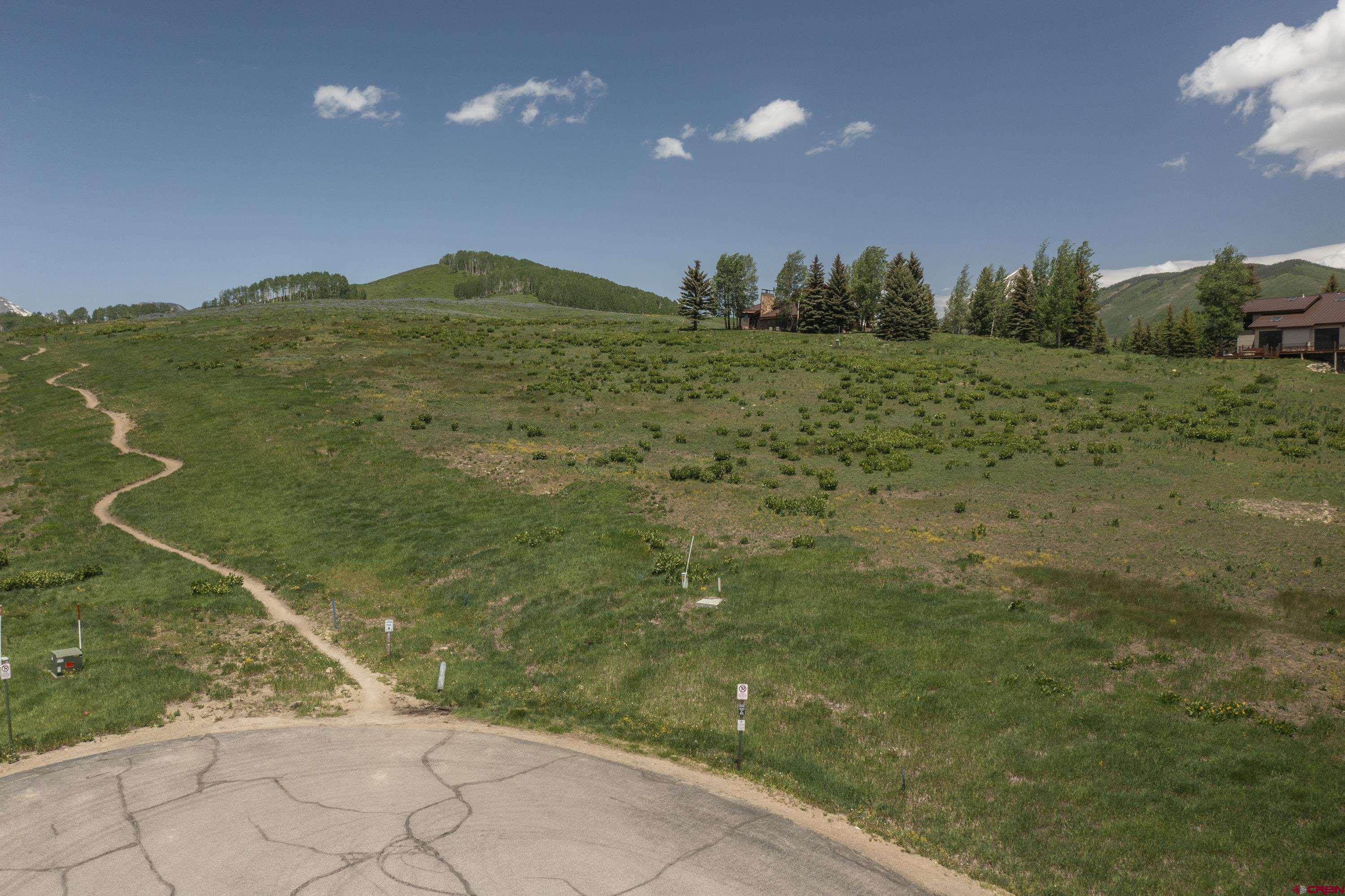 565 Saddle Ridge Ranch Road Crested Butte, CO 81224 - Photo 2 of 35 a view of a big yard