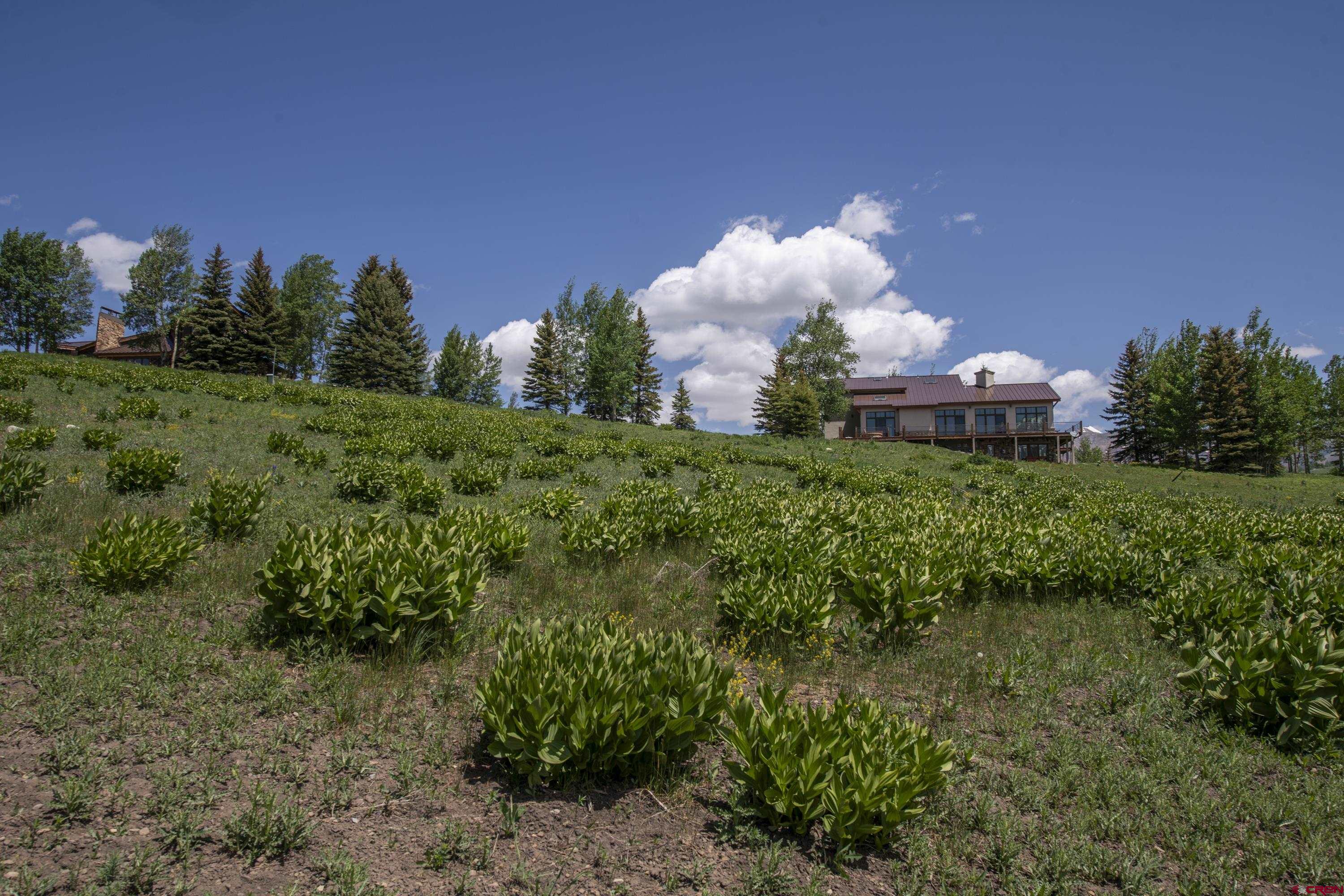 565 Saddle Ridge Ranch Road Crested Butte, CO 81224 - Photo 21 of 35 a front view of a house with a yard and a large tree