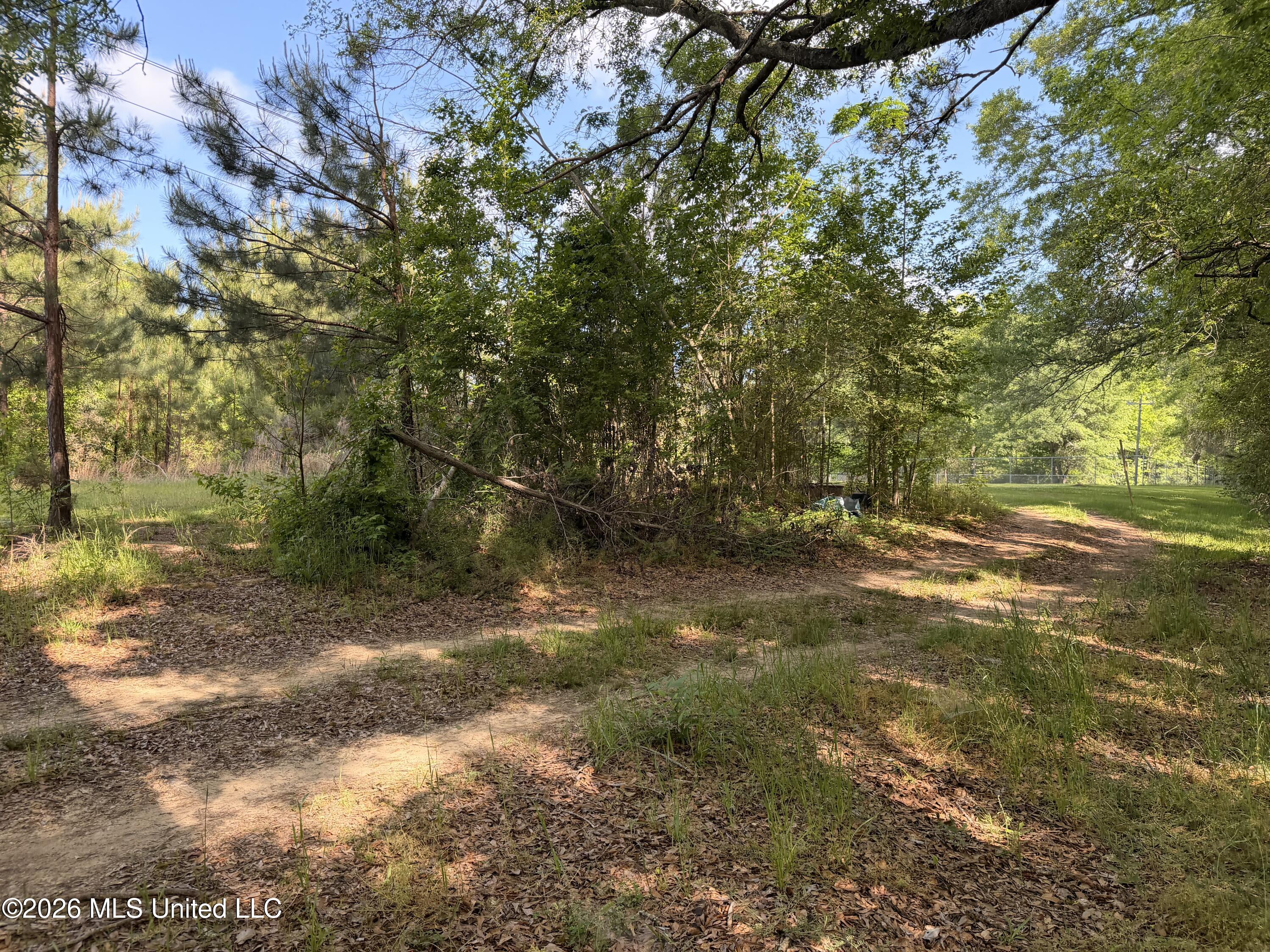 527 Carpenter Street Utica, MS 39175 - Photo 25 of 25 IMG_4159