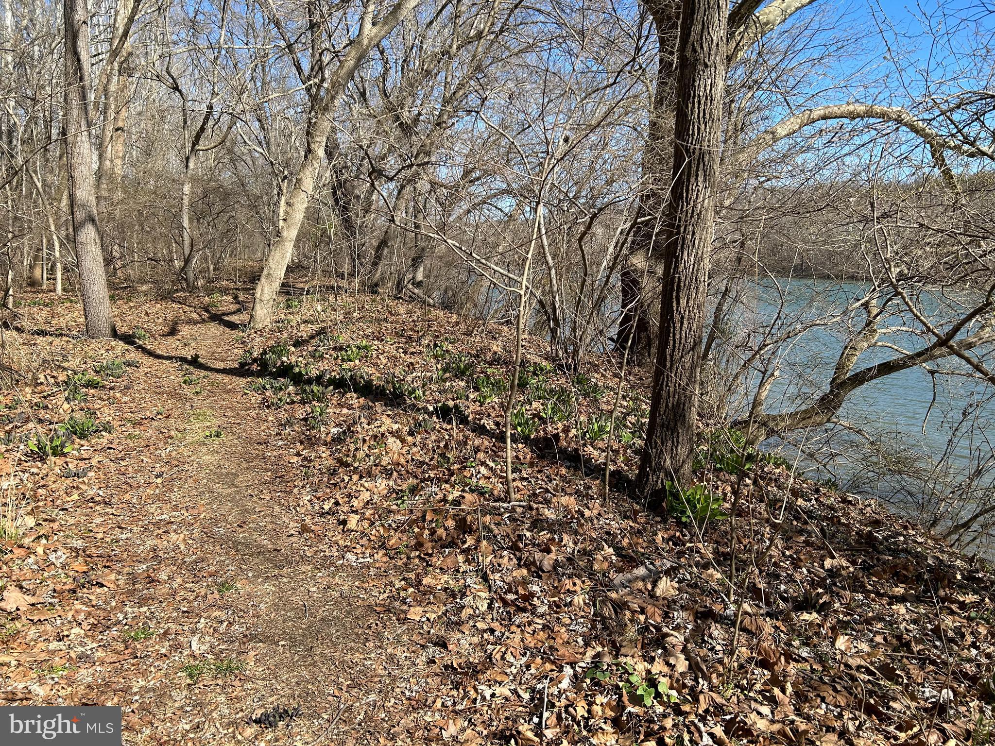 4 B Harlow Road Harpers Ferry, WV 25425 - Photo 13 of 18 nature trail