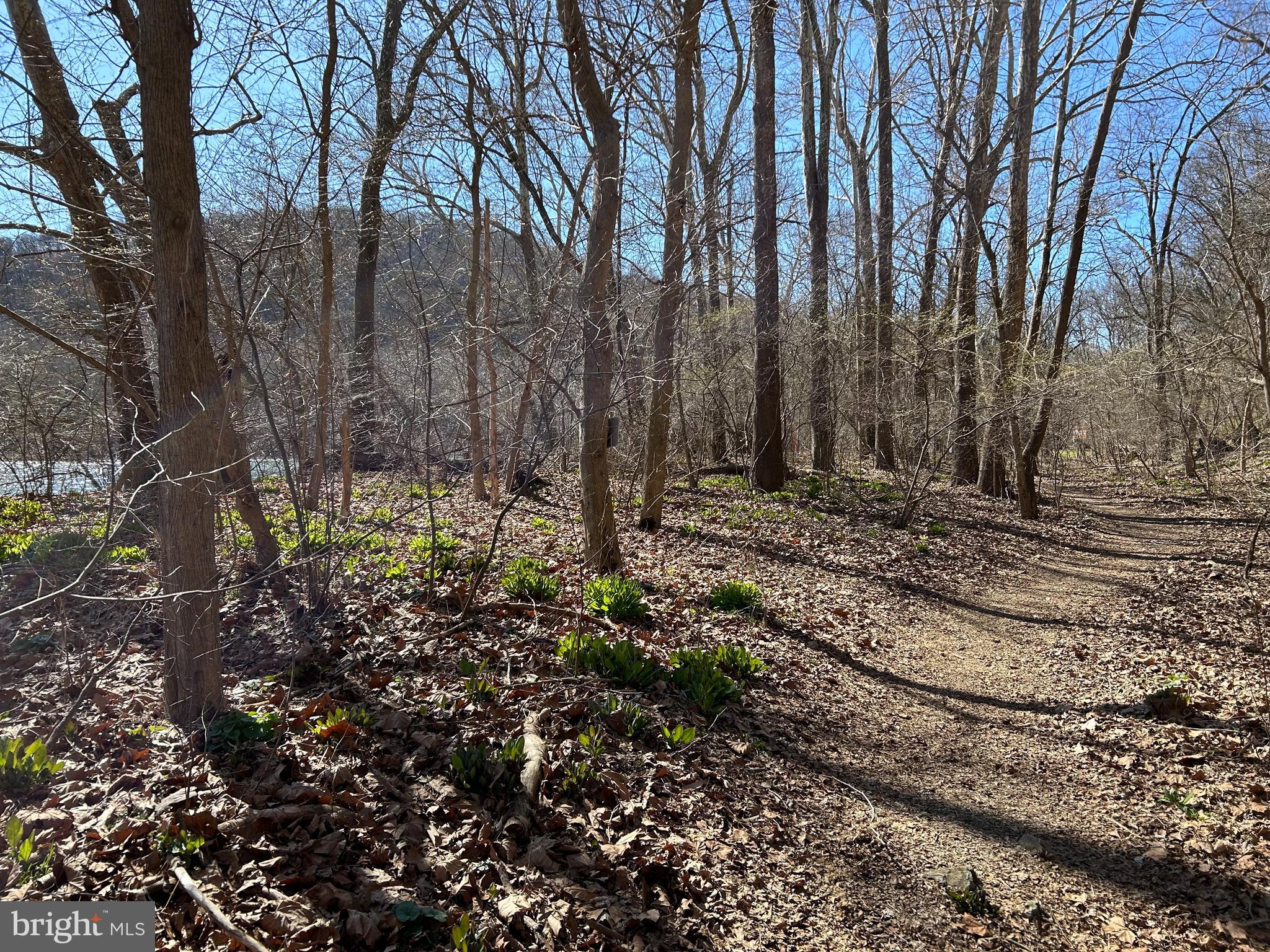 4 B Harlow Road Harpers Ferry, WV 25425 - Photo 14 of 18 nature trail