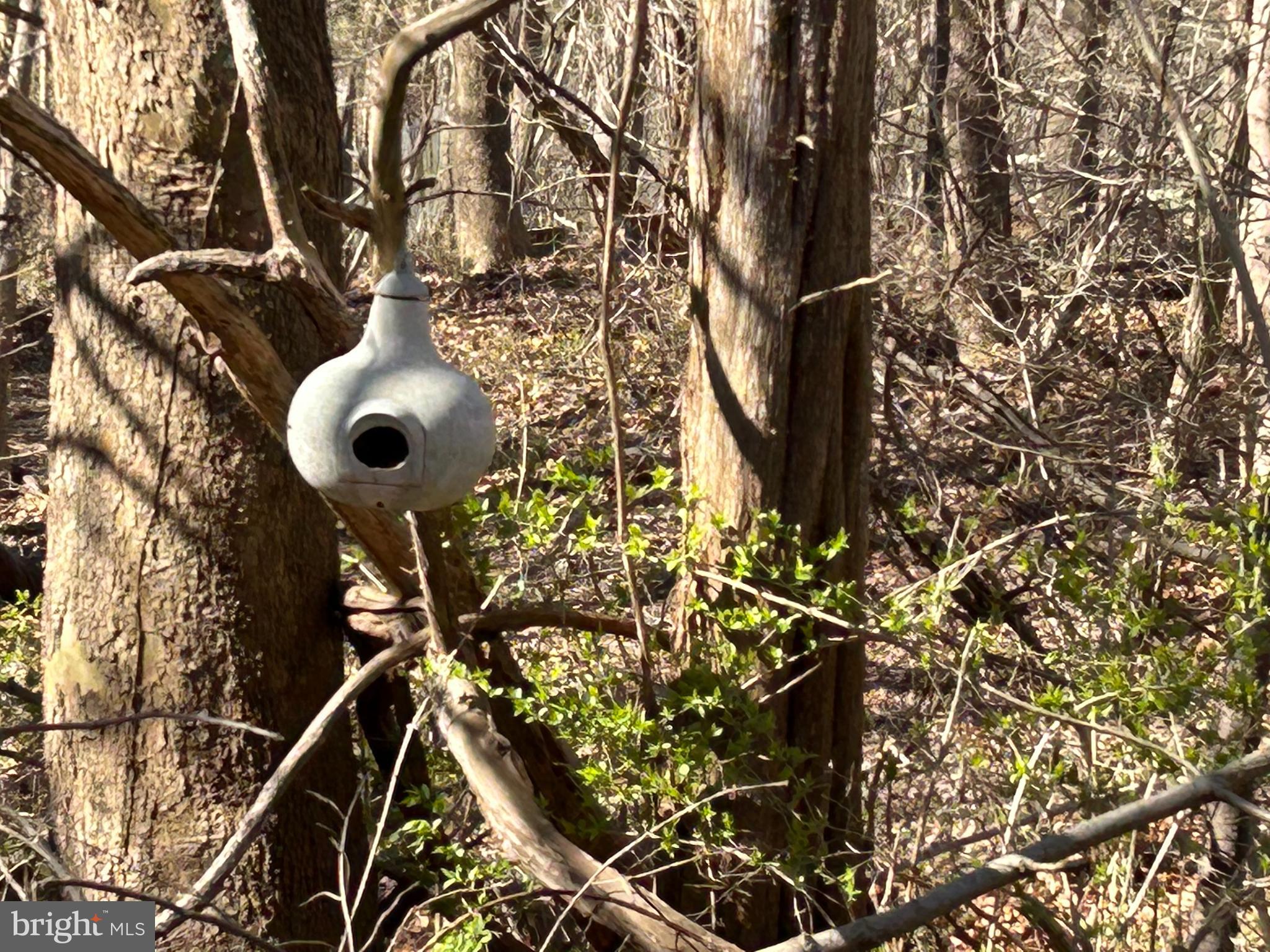 4 B Harlow Road Harpers Ferry, WV 25425 - Photo 4 of 18 birdhouses at corners