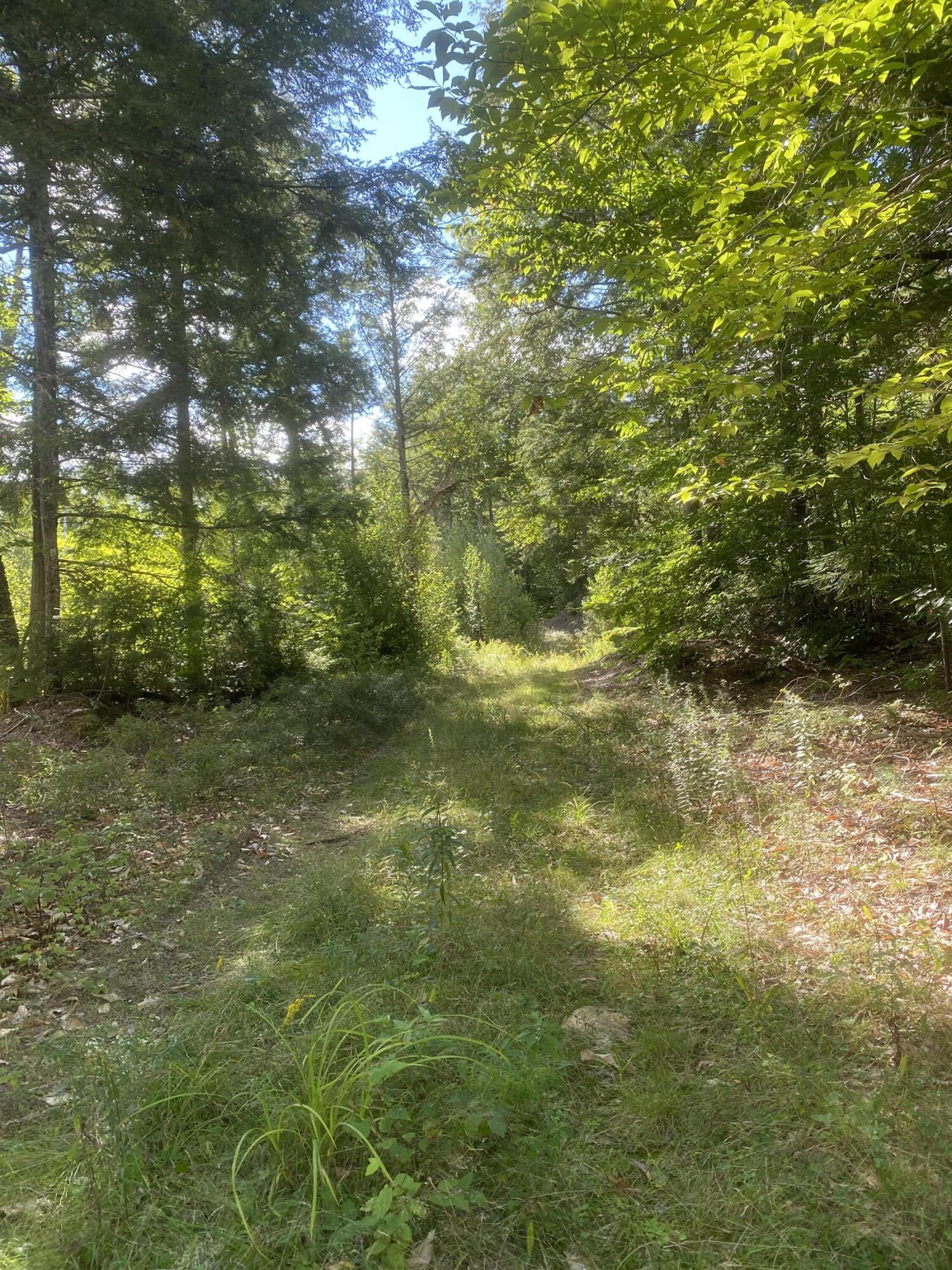 Tbd Abi Road Otisfield, ME 04270 - Photo 7 of 14 IMG_4563