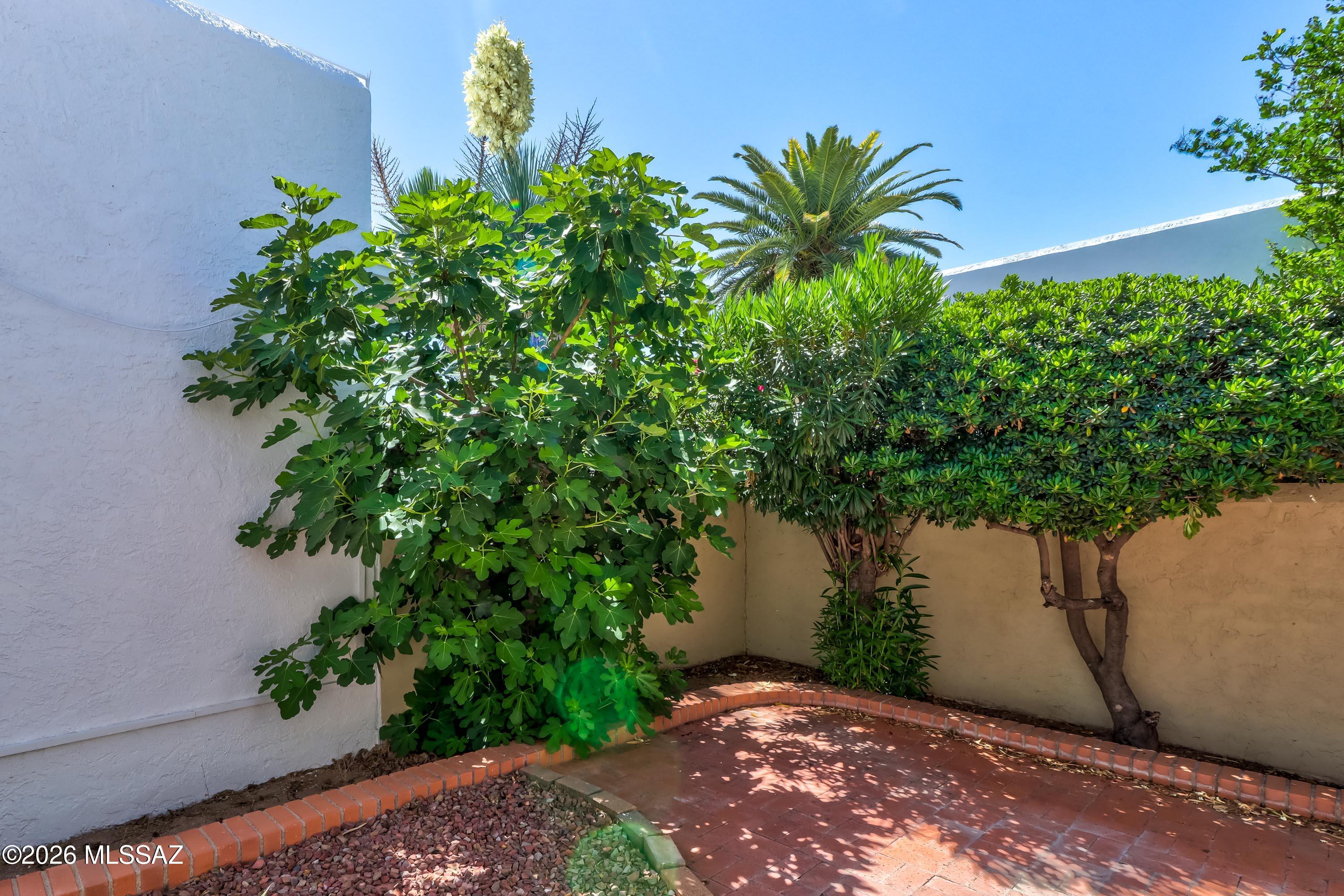 4840 East Fort Lowell Road, Unit A Tucson, AZ 85712 - Photo 30 of 33