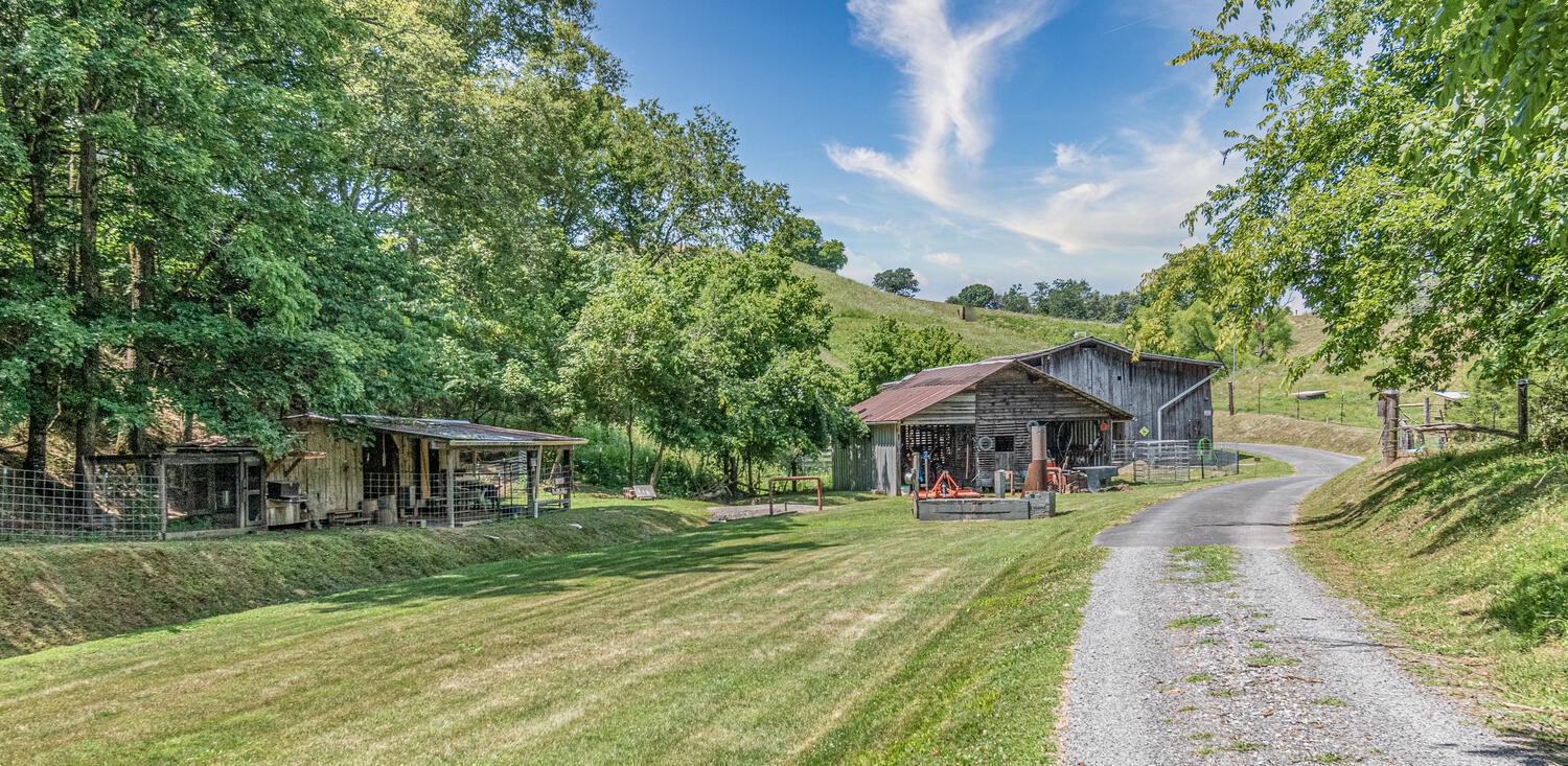 341 Launch Way Bybee, TN 37713 - Photo 17 of 31