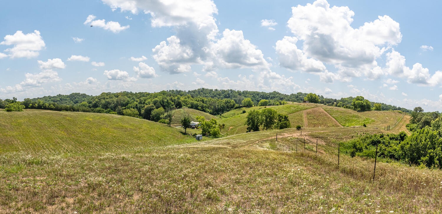 341 Launch Way Bybee, TN 37713 - Photo 22 of 31