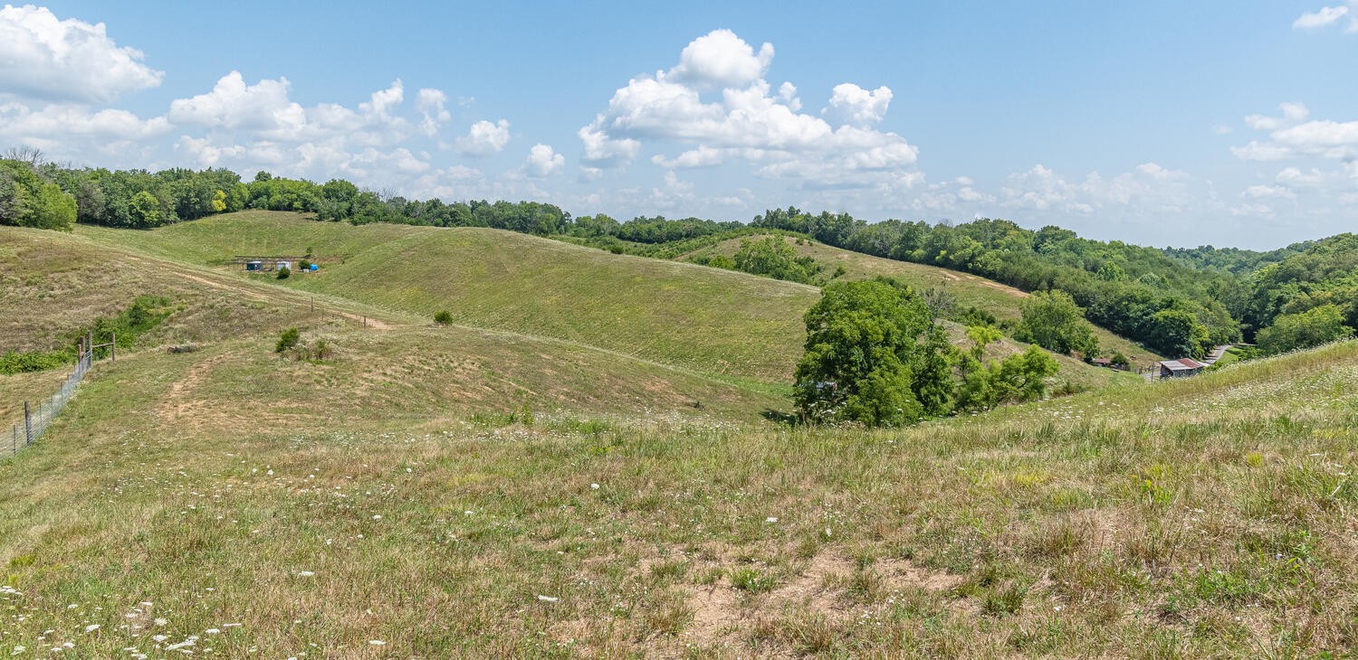 341 Launch Way Bybee, TN 37713 - Photo 23 of 31