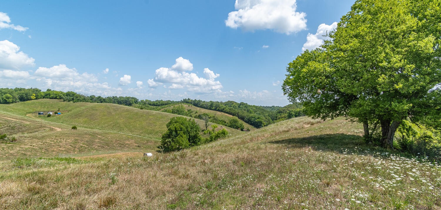 341 Launch Way Bybee, TN 37713 - Photo 24 of 31